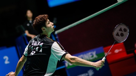 市场行情综 市场行情综